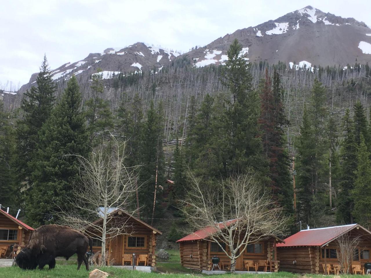 Silver Gate Lodging Cooke City Exteriör bild